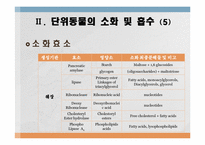소화 및 흡수 레포트-12