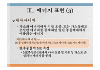 에너지 측정법 레포트-6
