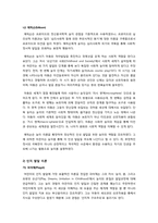[놀이이론]고전적 놀이이론과 현대적 놀이이론의 모든 것 - 고전적/현대적 놀이이론의 개념 및 내용 정리, 이론 간 비교와 현대적 의의 고찰 등-8