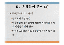 유생산 영양 레포트-17