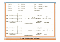 지방과 대사작용-7