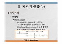 지방과 대사작용-13
