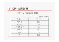 축산보고서(대박농장이 있기까지)-6