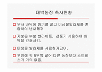 축산보고서(대박농장이 있기까지)-8