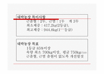 축산보고서(대박농장이 있기까지)-11
