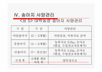 축산보고서(대박농장이 있기까지)-13