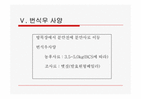 축산보고서(대박농장이 있기까지)-15