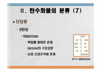 탄수화물 대사작용-9