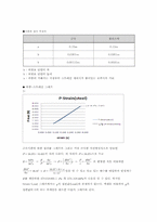 straingage 레포트-10