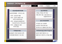 삼성의 CDP(경력개발프로그램)분석-11