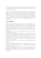 [국어굴절][영어굴절][독일어굴절]국어 굴절 범주, 국어 굴절과 굴절론, 국어 굴절과 굴절법, 국어 굴절과 핵이동, 영어 굴절, 독일어 굴절-9
