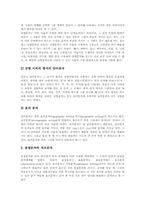 [문자][한글][가림토문자][상형문자]문자 발달, 문자와 한글음성문자, 문자와 가림토문자, 문자와 상형문자, 문자와 비보문자, 중국 문자 분석-3