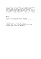 영어공용어화(영어공용화)원리,배경, 영어공용어화(영어공용화)현황, 영어공용어화(영어공용화)와 언어,한국어, 영어공용어화(영어공용화)문제점,제언-10