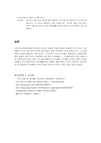 국외항공서비스 -사우스웨스트항공사-12