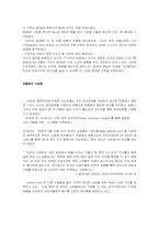 성주그룹(MCM) 기업분석-6