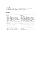 성주그룹(MCM) 기업분석-11