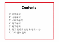[국제광고홍보] 농심 신라면 일본 시장 진출 홍보전략-2
