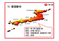 [국제광고홍보] 농심 신라면 일본 시장 진출 홍보전략-3
