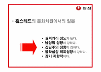 [국제광고홍보] 농심 신라면 일본 시장 진출 홍보전략-5