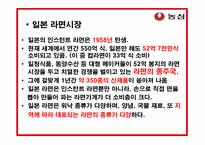 [국제광고홍보] 농심 신라면 일본 시장 진출 홍보전략-6