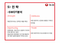 [국제광고홍보] 농심 신라면 일본 시장 진출 홍보전략-13