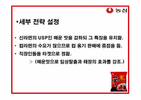 [국제광고홍보] 농심 신라면 일본 시장 진출 홍보전략-14