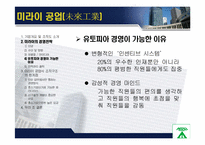 미라이 공업과 대우 그룹 비교 -기업 성공,실패사례에서 배우는 조직문화-17