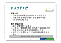 [경영정보] NH 농협 신용사업 독립에 따른 교육지원, 경제사업의 미래-8