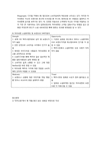 하이네켄 광고를 통한 소셜마케팅 분석(챔피언스리그 AC밀란 VS. 레알마드리드)-6