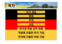 [기업환경론] 독일-2