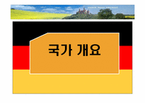 [기업환경론] 독일-3
