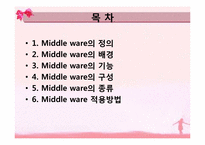 [경영정보] Middle ware 미들웨이-2