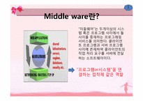 [경영정보] Middle ware 미들웨이-3