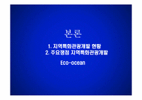 [관광학] 지역특화 관광자원 개발현황과 제안-9