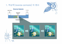 [플랜트설계] 역삼투(reverse osmosis) 담수화 공정-3