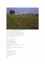 우리나라와 영국, 캐나다의 전반적인 교육 비교-11