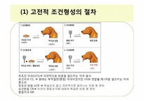 행동주의와 사회인지이론-11