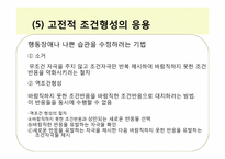 행동주의와 사회인지이론-16