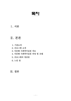 다문화 사회복지실천 과정 및 모델, 프로그램-1