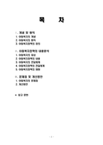 아동복지정책의 내용분석-2