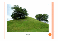 신라의 발전과 고분-8