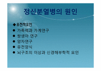[정신건강] 정신분열병-4