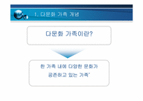 다문화 가족 을 위한 사회 법제적 지원 방안 연구-4