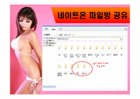 [인터넷커뮤니케이션] 인터넷 상 섹스-11
