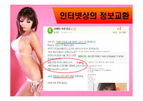 [인터넷커뮤니케이션] 인터넷 상 섹스-12