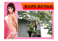 [인터넷커뮤니케이션] 인터넷 상 섹스-15