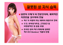 [인터넷커뮤니케이션] 인터넷 상 섹스-16