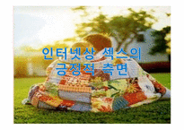 [인터넷커뮤니케이션] 인터넷 상 섹스-18