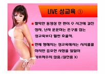 [인터넷커뮤니케이션] 인터넷 상 섹스-19
