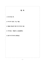 [광고와 언어] 바디카피-2